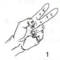 武当五行七步功,武当二龙指功图解