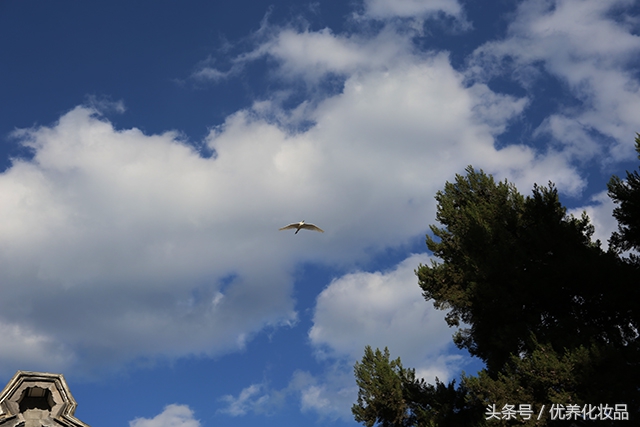 有诗和远方的地方,有诗和远方的故乡