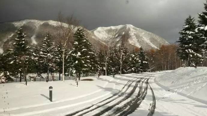 十大滑雪场排名,日本十大滑雪品牌排行