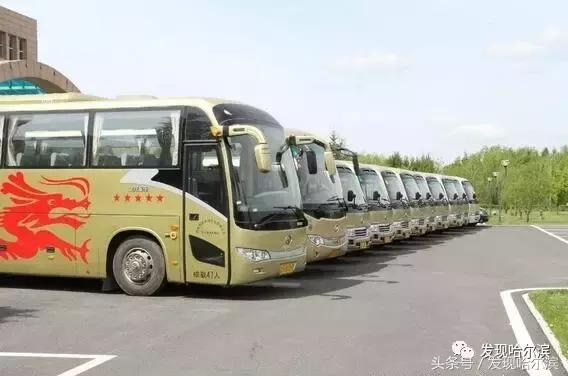 哈尔滨10条新消息,哈尔滨有什么好消息