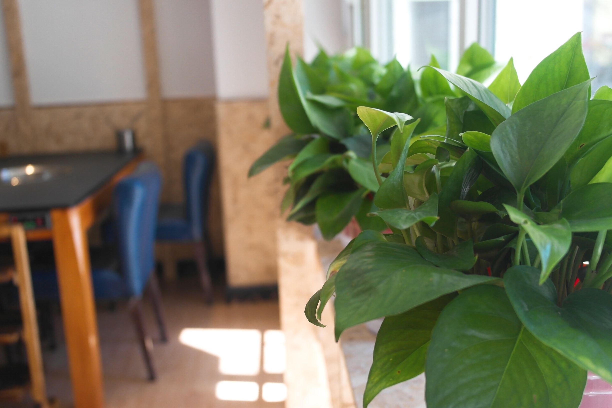 冬天来了牛排火锅吃起来,开春滋补汤