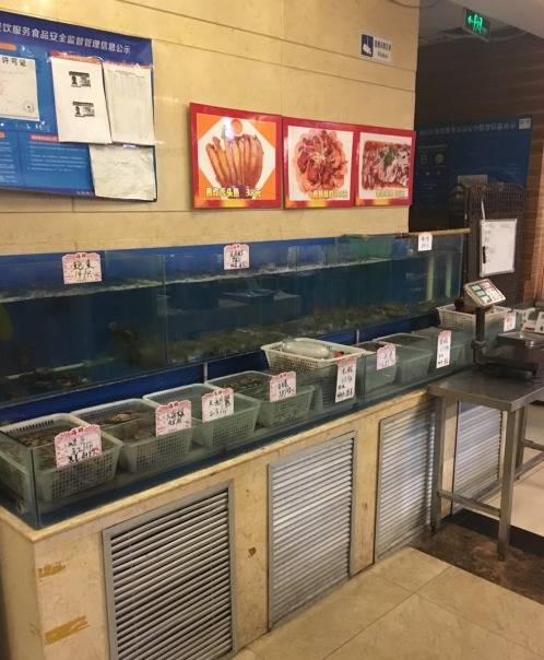 海鲜吃货皮皮虾,吃货海鲜皮皮虾