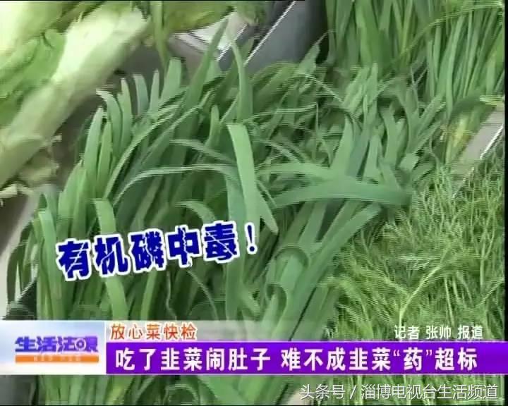 有些人吃了韭菜拉肚子咋回事,儿童吃韭菜上吐下泻