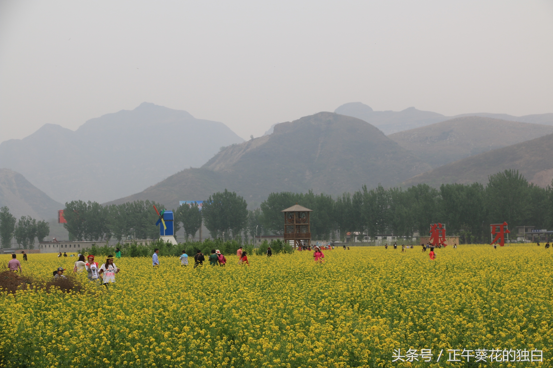 狼牙山田园花海入口,狼牙山万亩花田附近景点