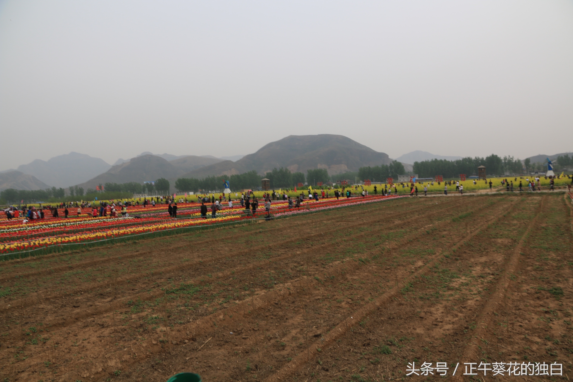狼牙山田园花海入口,狼牙山万亩花田附近景点