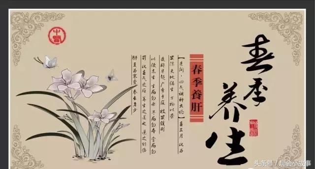 春季养生十大法则教你养出好身体,养阳气的十大食物