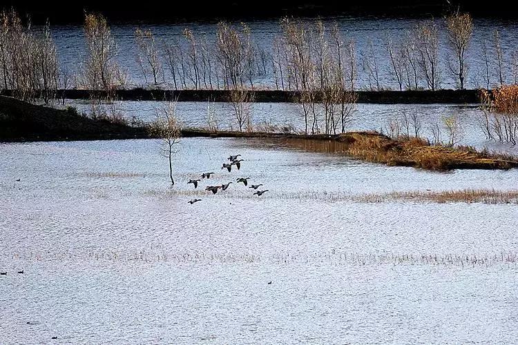 一个家族都可以拥有家谱吗,家谱是延续家族血脉的重要载体