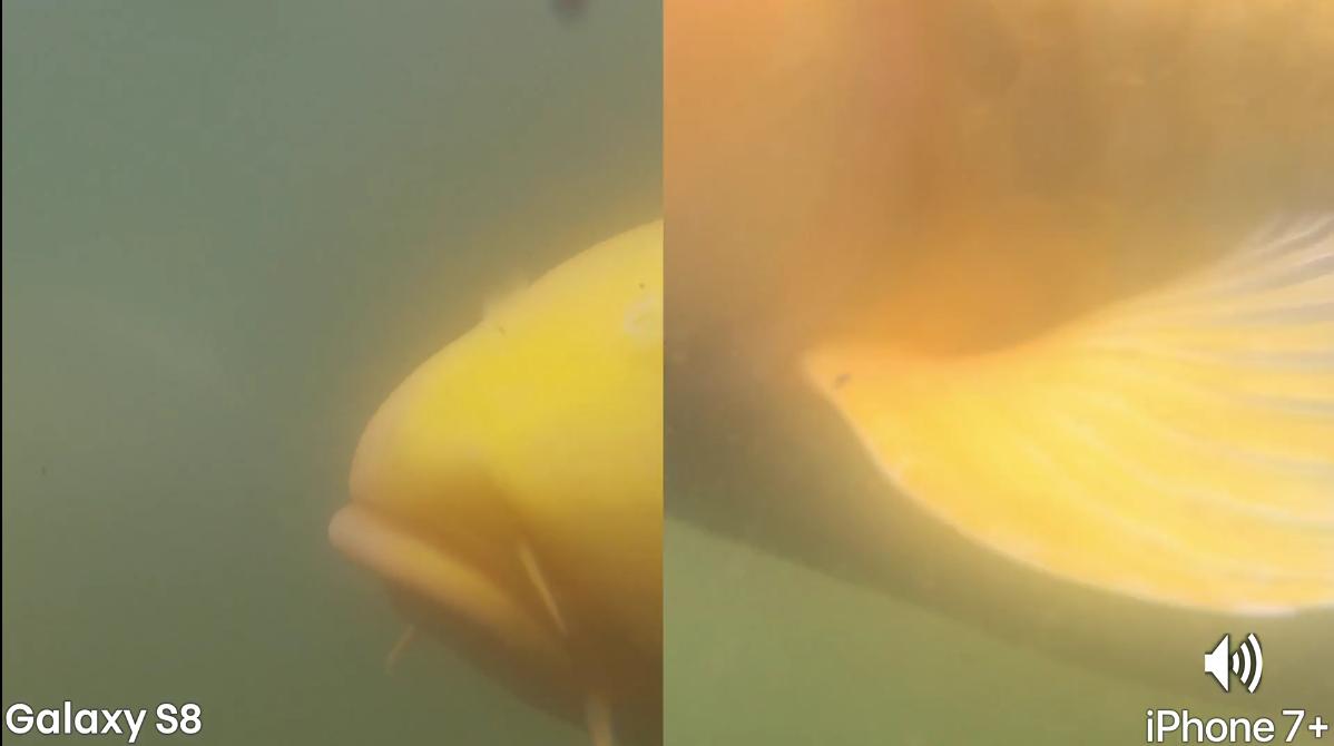 涓夋槦s8涓巌phone7plus瀵规瘮,iphone7plus鍜宨phone8plus鍖哄埆