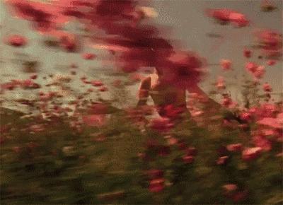 拯救你的窝！花最少钱拥有蓝胖子口袋的收纳神器大出10㎡+空间