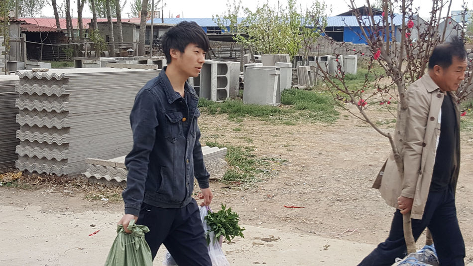 唐山市乐亭县大集,河北唐山乐亭大集