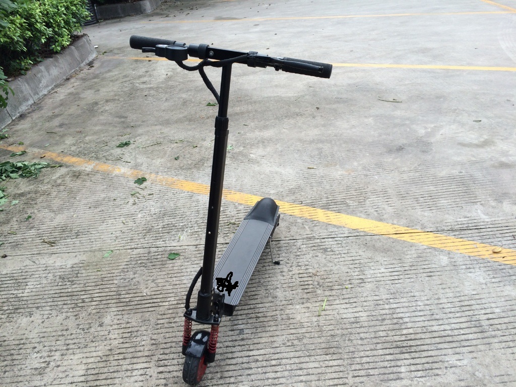 骑上电动车好拉风,骑上这车是不是很拉风了