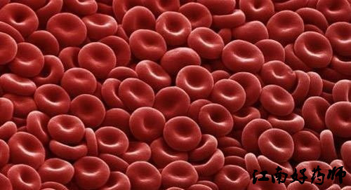 必看超全的临床常用化验单解读,手把手教你看懂医院化验单