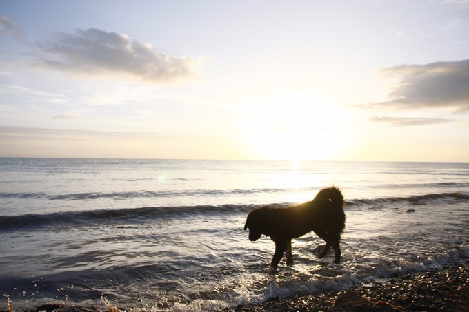 西北归来,我想说给你听,青海甘肃西安华山11天