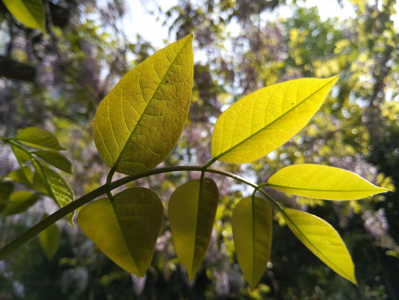 努比亚z17刷什么系统比较好,努比亚z17旗舰开箱视频