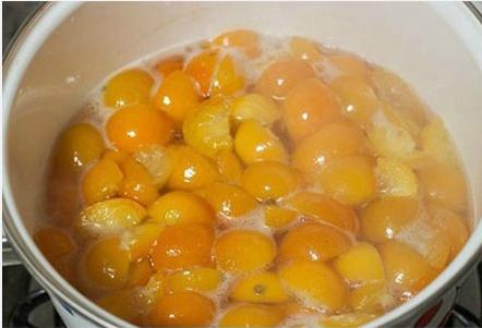 蜂蜜金桔膏平喘,金桔止咳化痰的正确做法