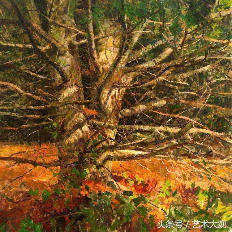 傅大力油画风景写生视频,张冬峰油画风景写生视频