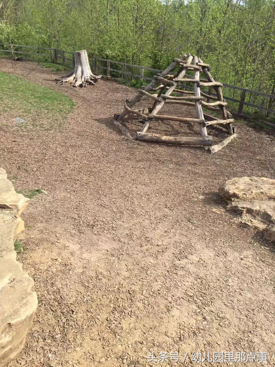 国外有名的自然生态幼儿园,国外的森林幼儿园