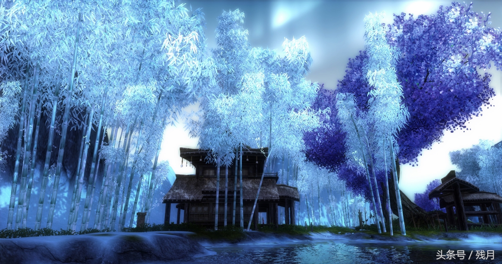 遇见绝世佳人的句子,绝世佳人