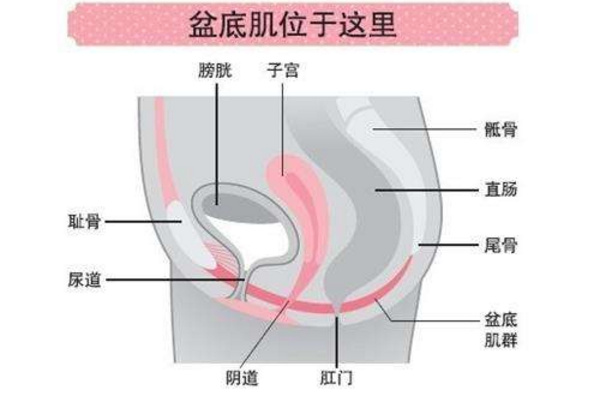 生完孩子后松弛咋办,生完孩子后松弛吃什么药