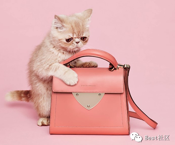 劳动最光荣!如何花5000块犒劳自己一个大牌包包?