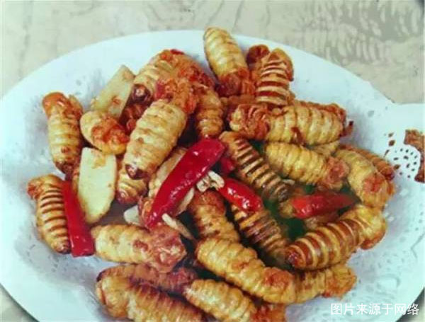 云居山映山红游详细攻略,观赏岫岩迎山红花海一日游