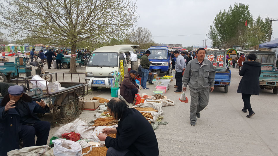 唐山市乐亭县大集,河北唐山乐亭大集