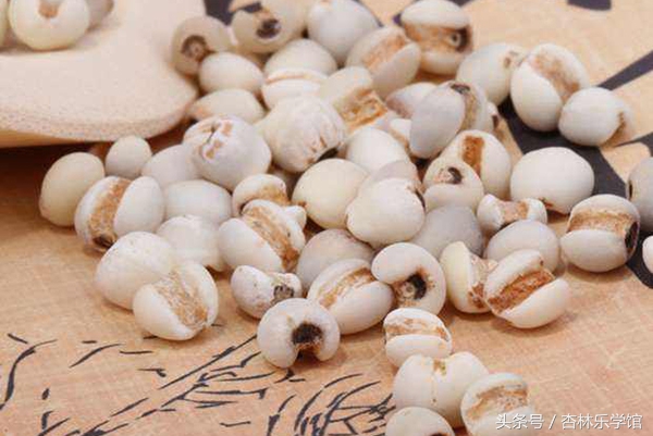 金匮要略湿热下注治脚气,中医治疗寒湿脚气医案