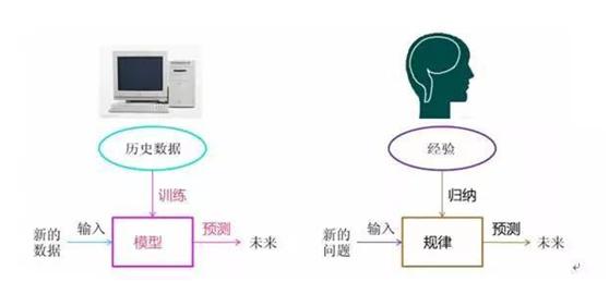 数据赋能，起底旺资金融“黑科技”