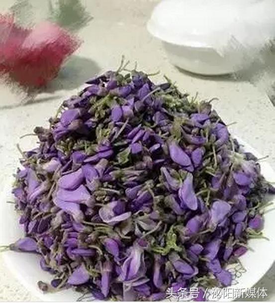 紫色藤花开,任丘紫藤花开