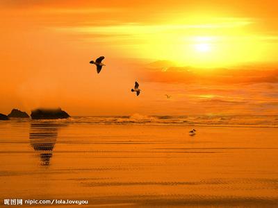 时间最短的恋爱肯定是一见钟情