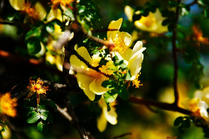 西北归来,我想说给你听,青海甘肃西安华山11天