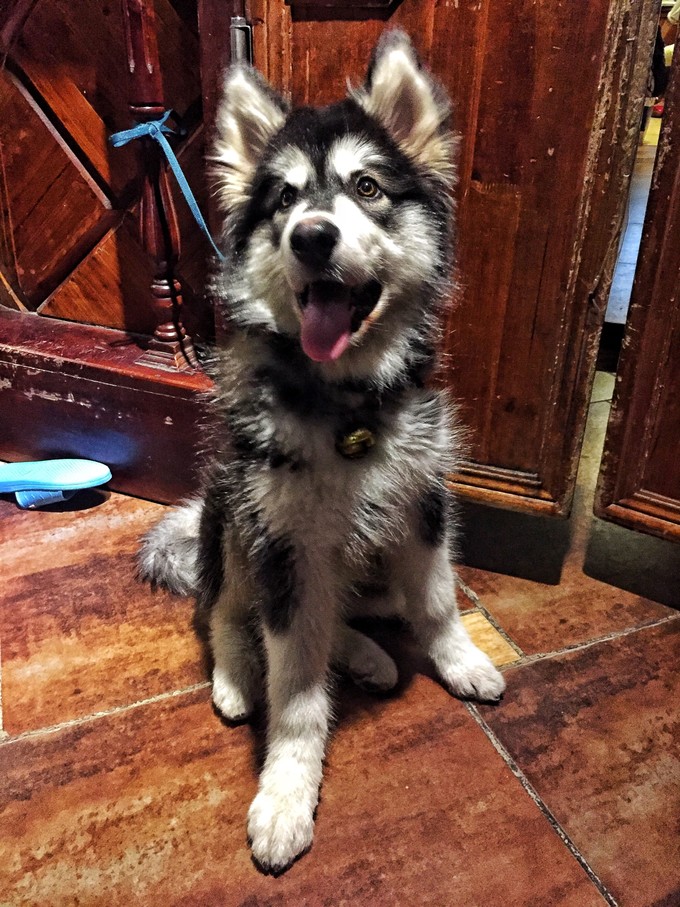 西北归来,我想说给你听,青海甘肃西安华山11天