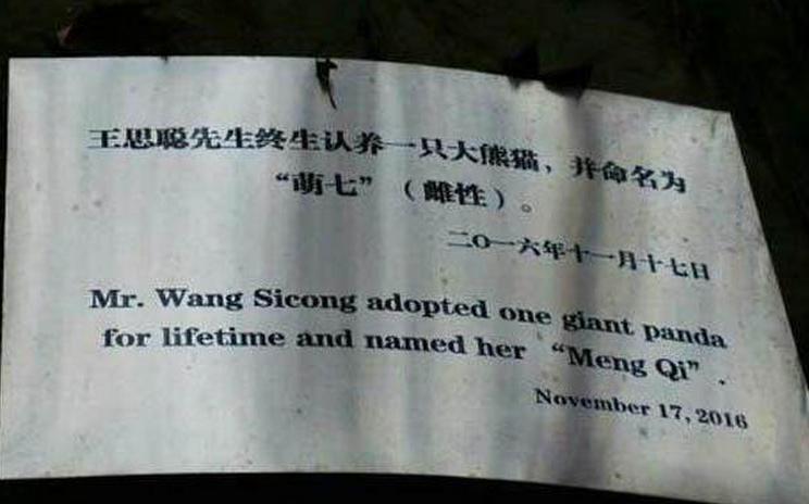 王思聪和景甜长得有点像,王思聪长得漂亮吗