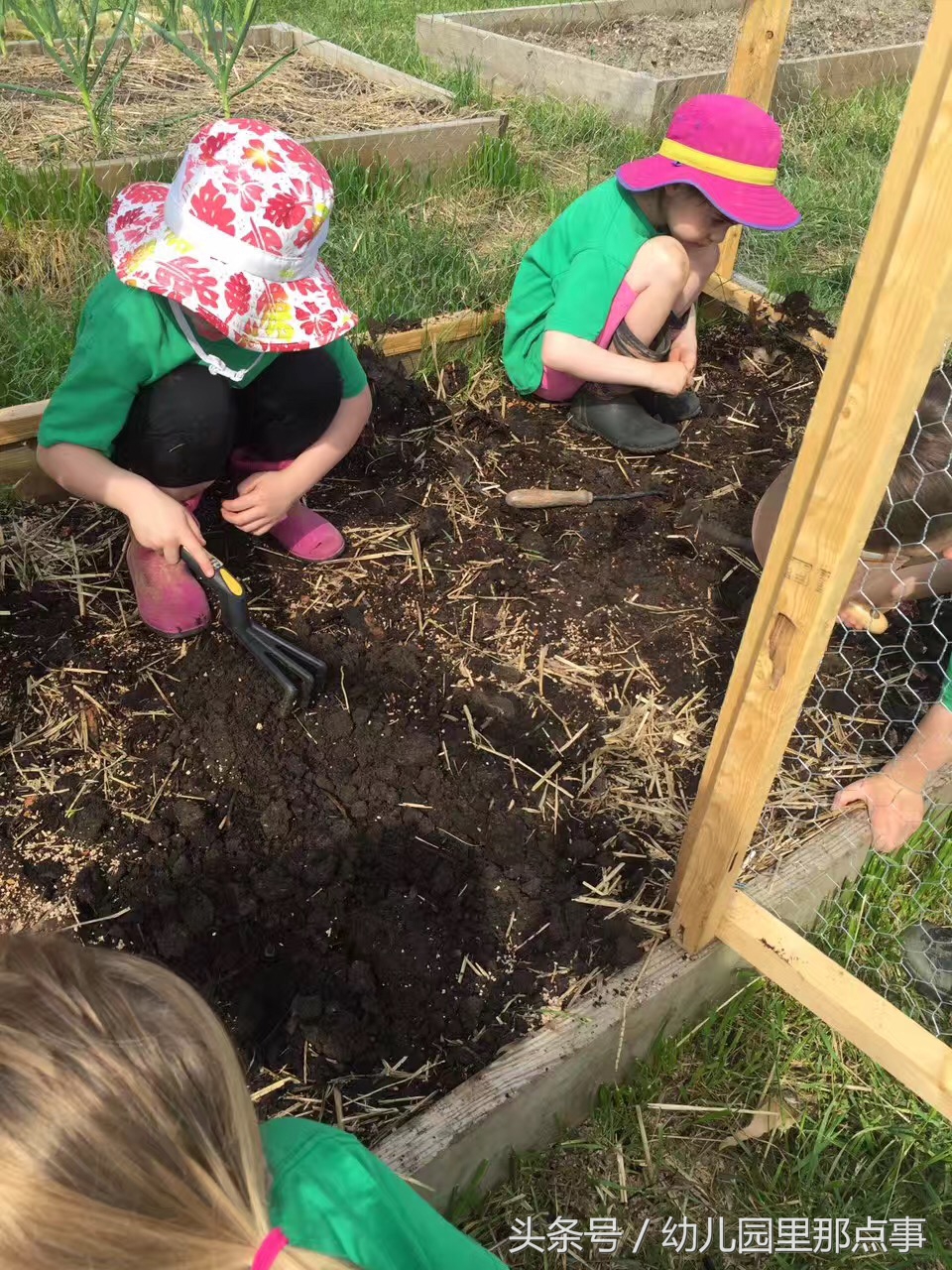 国外有名的自然生态幼儿园,国外的森林幼儿园