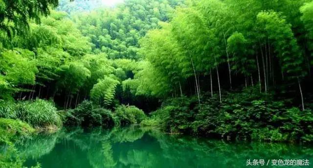 苏州市吴中旺山九龙潭旅游指南,苏州旺山风景区旅游攻略一日游