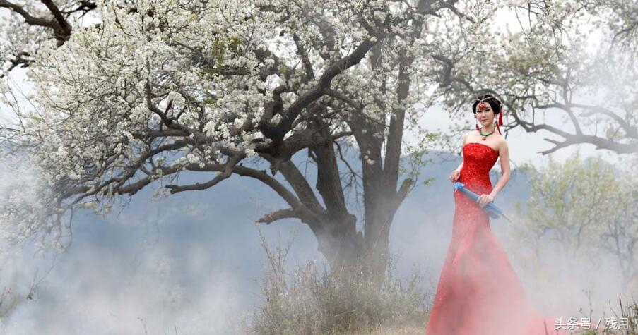 遇见绝世佳人的句子,绝世佳人