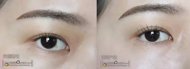 伊蒂之屋值得买的东西,人人都买的房子会怎么样