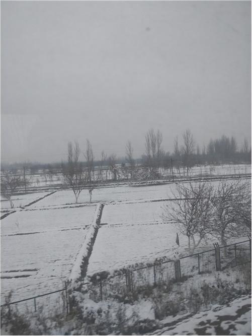 和田玉游记l看过纯羊毛鞋垫吗？喜洋洋美羊羊都有