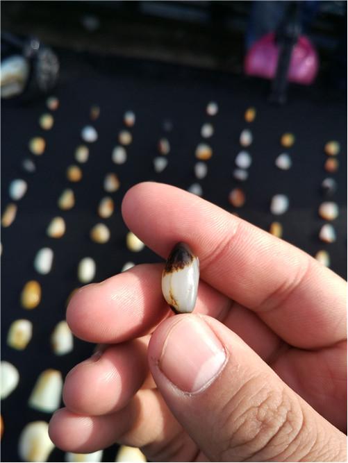 和田玉游记l看过纯羊毛鞋垫吗？喜洋洋美羊羊都有