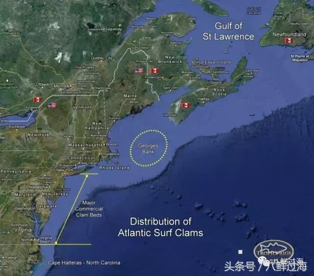鍔犳嬁澶у寳鏋佽礉鎺ㄨ崘,榛勯噾璐濆寳鏋佽礉