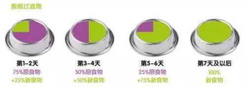 狗狗软便原因分析,五个月的狗狗软便是什么原因