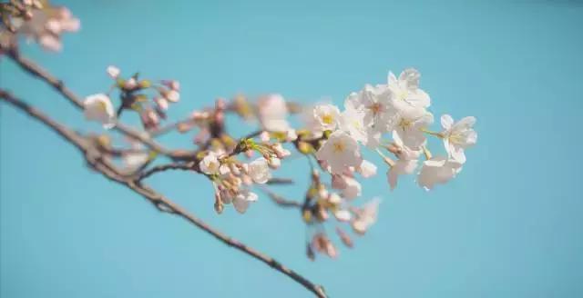 芬兰掌握全球高端技术,芬兰户外表哪款好