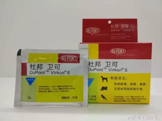 爱妖经｜赛场猫咪同款用品，主子们都拒绝不了的诱惑