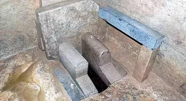 你不知道的进化史,你不知道的马桶品牌