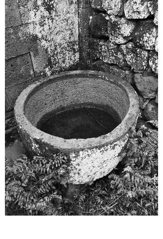 你不知道的进化史,你不知道的马桶品牌