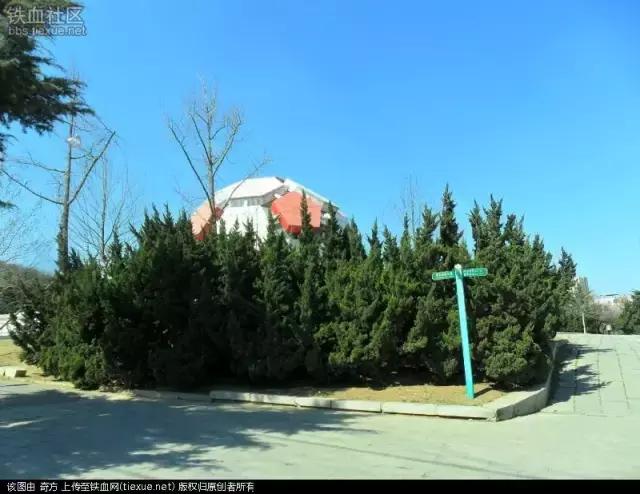 大连劳动公园的大足球有什么奥秘,劳动公园大足球在哪个门