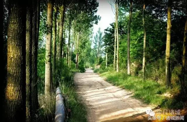 北漂姑娘的辞职信,一位姑娘的辞职信火了