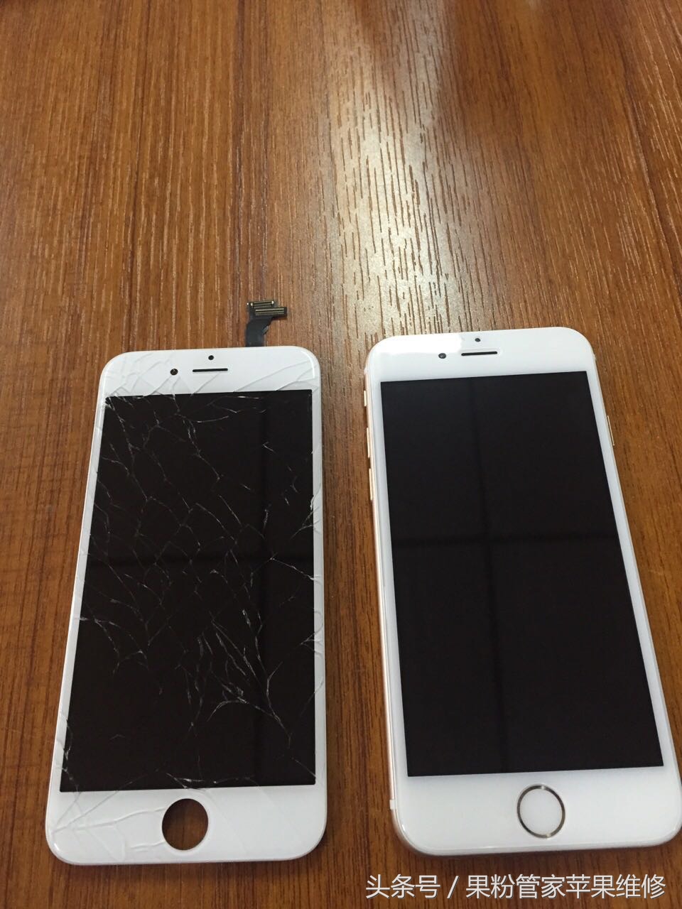 大连果粉管家,果粉管家清灰