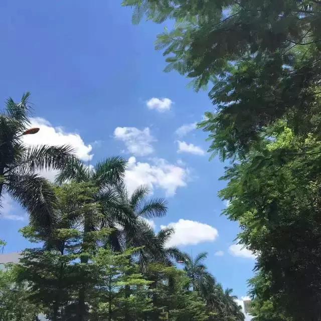 对不起我要去天津了,对不起我要去西安了