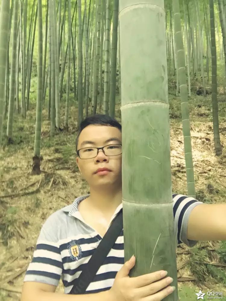 宜兴江南竹海,大美宜兴竹海